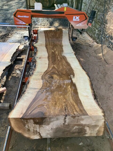 Scottish Ash boards