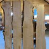Scottish English Elm