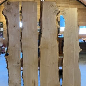 Scottish English Elm