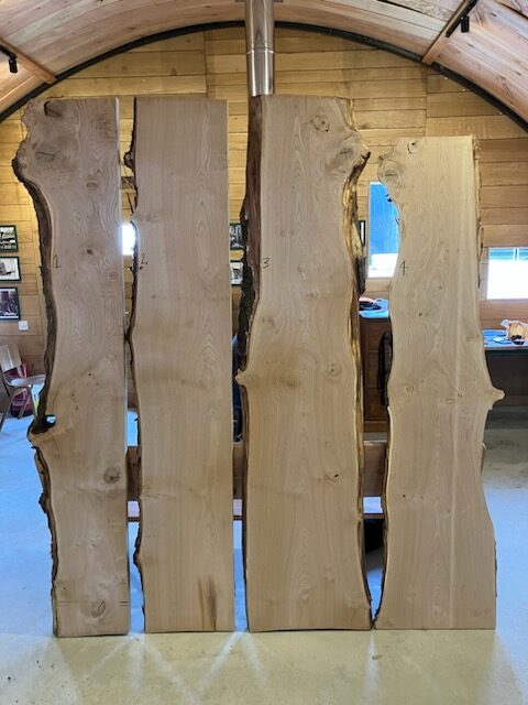 Scottish English Elm