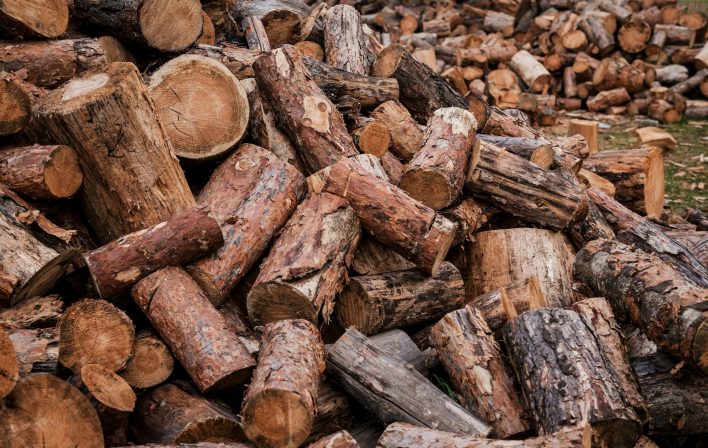 Fresh logs. Close-up of plenty of logs laying on the ground