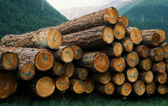 Piled firewood logs