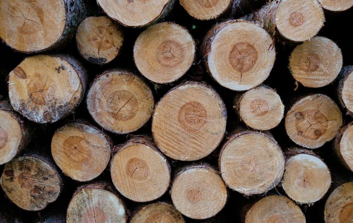 Stack of wooded logs