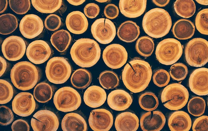 Stacked wood logs as texture