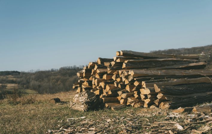 Wooden logs